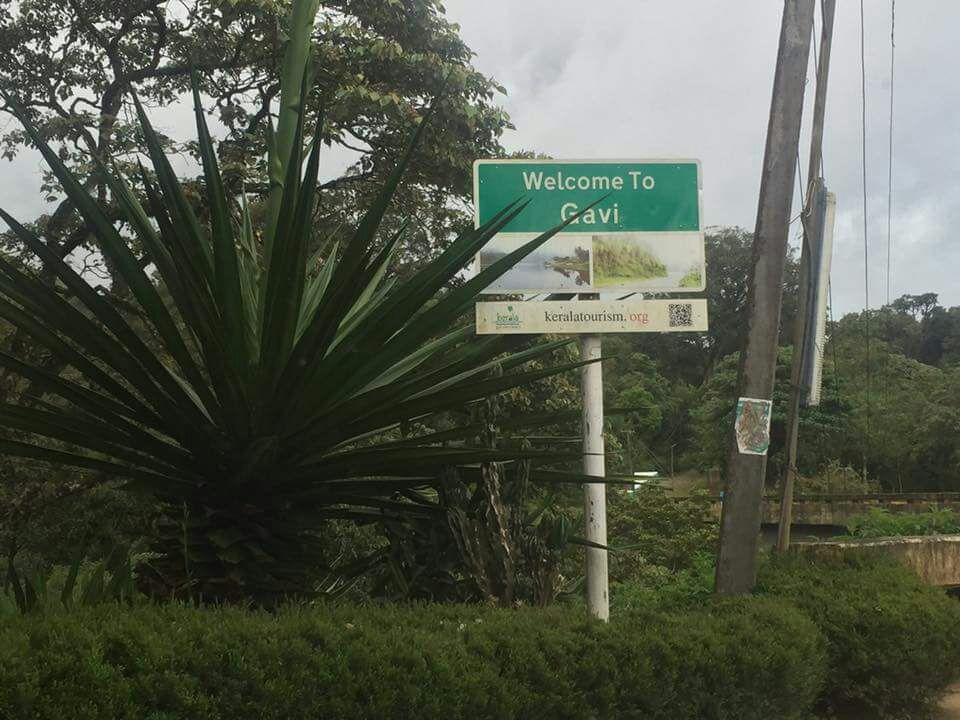 AnwarBasith's tweet image. This is gavi . tourist place in Kerala India . Any one go to there call this number 7025066604