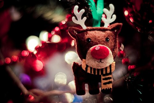 KalkiOnline's tweet photo. #Ring in #Christmas #with 50-#foot-#tall #tree, #handmade #candycans :
. https://t.co/AlJSBOz89c https://t.co/nSnjG5uQt6