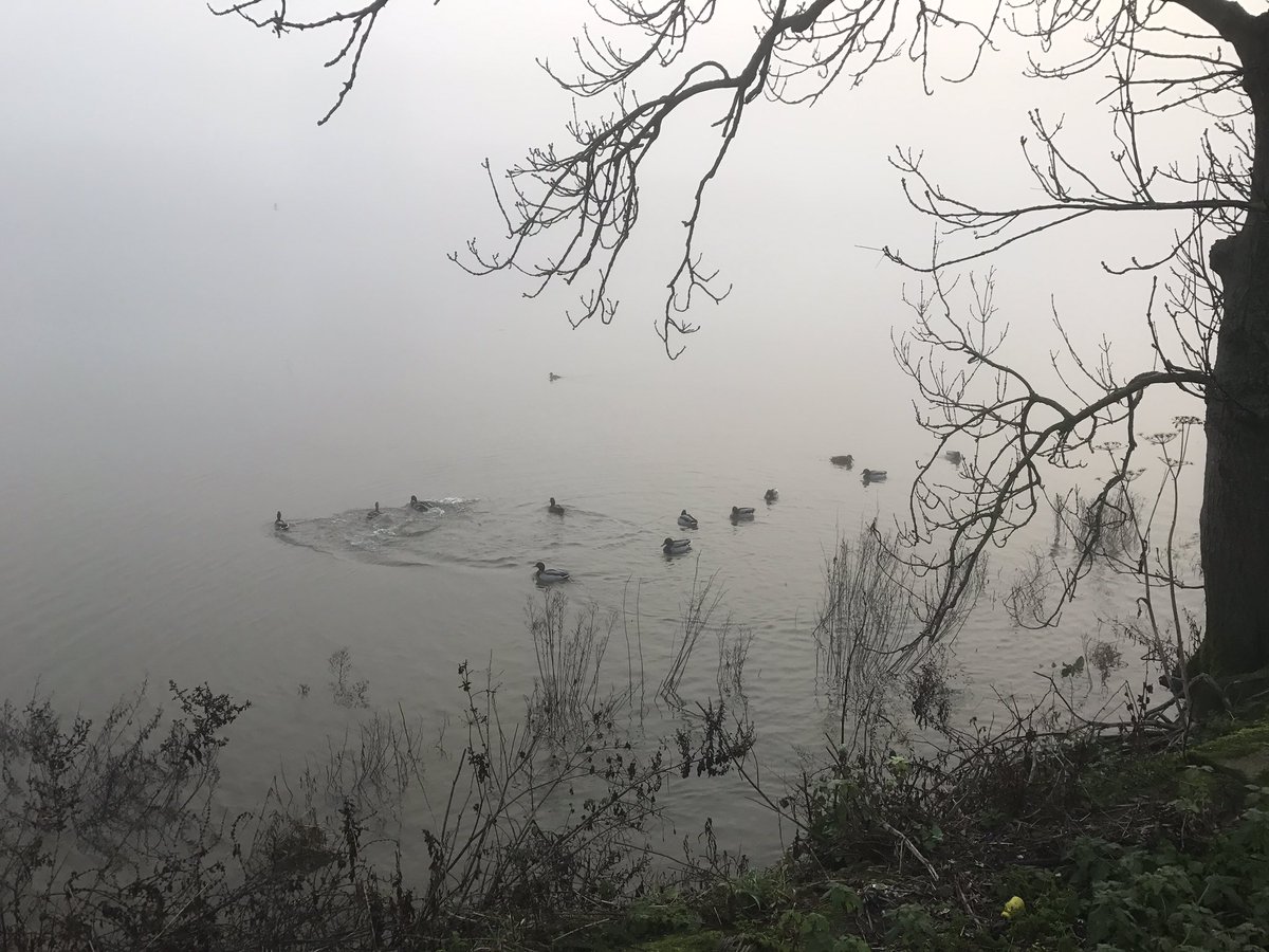 I Love Putney tweet media