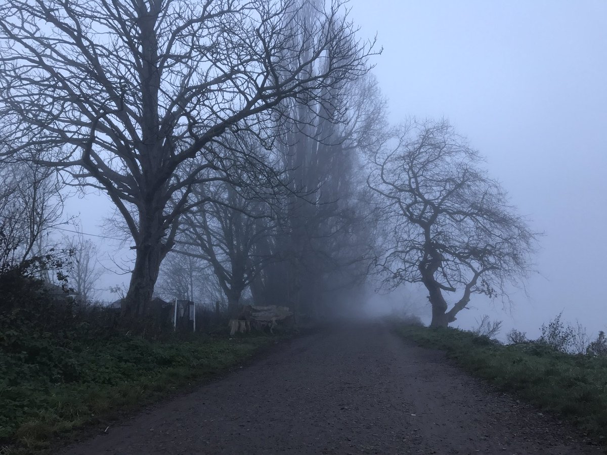 I Love Putney tweet media