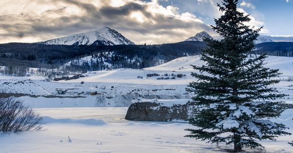 Vilo Kanis tweet media