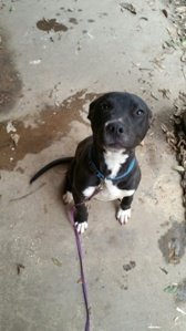 Priceless034's tweet photo. #HillsPetCrowd #ad https://t.co/2Lk8KYr3uR