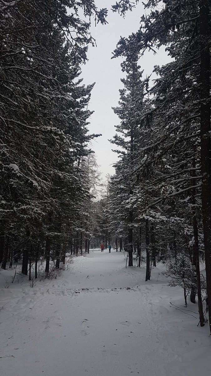 агаар.... алхалт