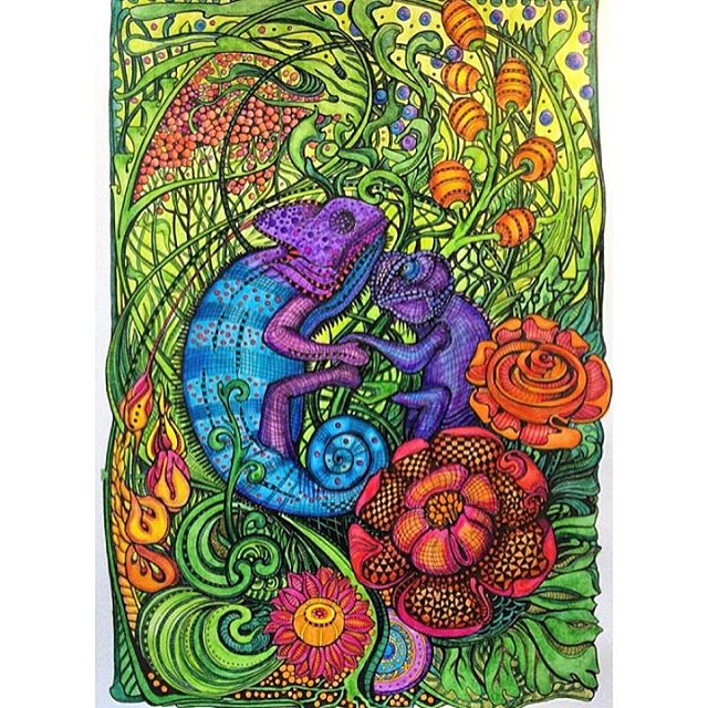 ZifflinBooks's tweet photo. Another great colourful version from our Manic Botanic Book!

#Zifflin #AdultColouring #Nature https://t.co/j6p4TJ8YeE