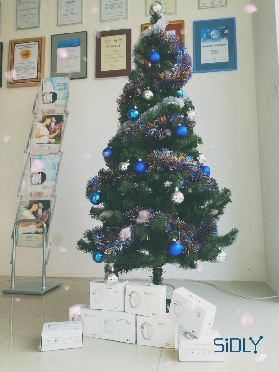Christmas mood <a href="/SiDLY_Care/">SiDLY</a> :) We would like to wish a peaceful and happy #Christmas, spent in the company of loved ones - #SiDLY Team