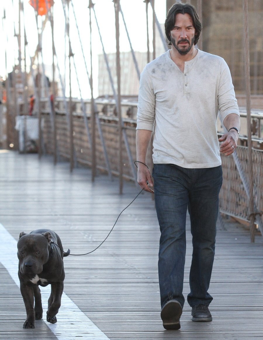 H4TE_FUR's tweet photo. ジョン・ウィックはこういうことになっていけばいいのに。 #johnwick #johnwickseries https://t.co/TuT1vBb97w