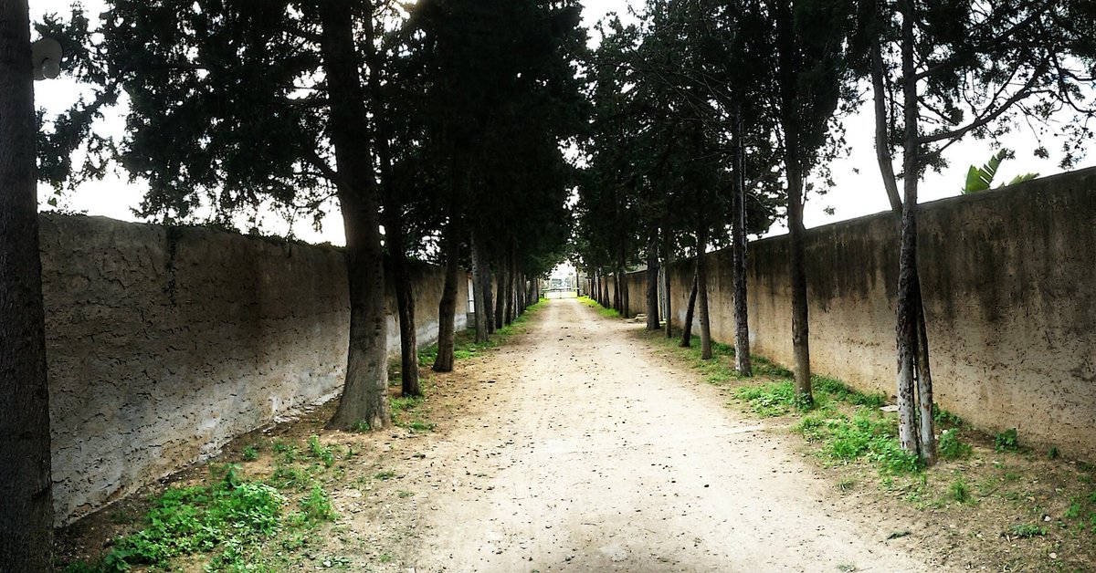 Viale #villasantisidorodecordova #aspra #viale