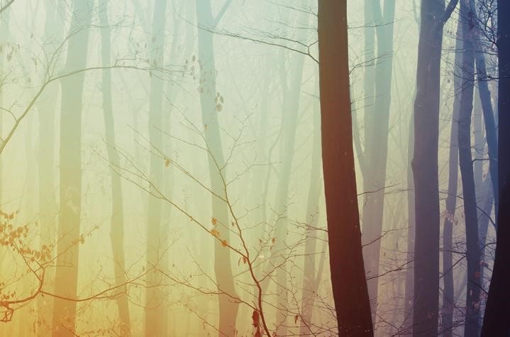 Si vous êtes de passage à #Toulouse pendant les fêtes, ne manquez pas les évènements culturels de fin d'année ! hotel-albert1.com/actualites-cul…