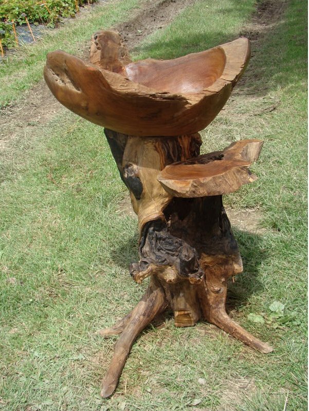 Siiren's tweet photo. Showcased here is a unique #handcarved #Teakroot #Birdbath. Each of our #carvedroot products is uniquely beautiful  https://t.co/DYg9QhMfNI https://t.co/9nuBZJl1Hs