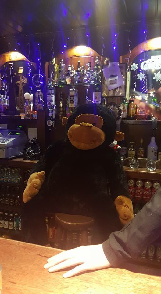 TippersThe's tweet photo. You'll catch us in Pete's Bar, Gweedore tonight @10:30pm #WeBeTipping https://t.co/8XeZ2FfMIX