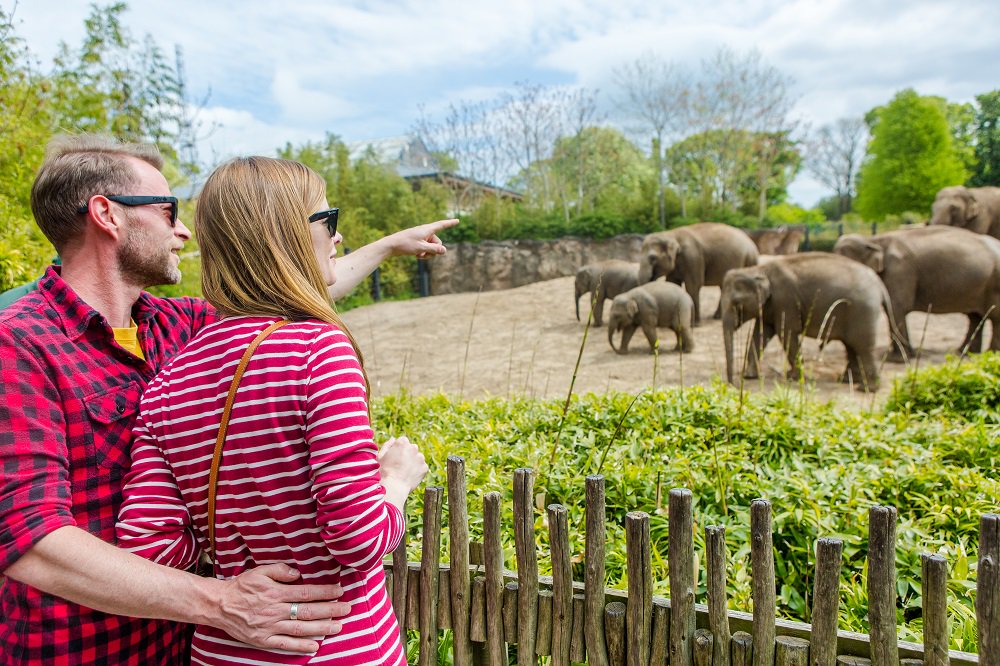 Planning a trip to Dublin with the little ones? Check out some of the city's most family and kid-friendly spots! bit.ly/2gNPEEw