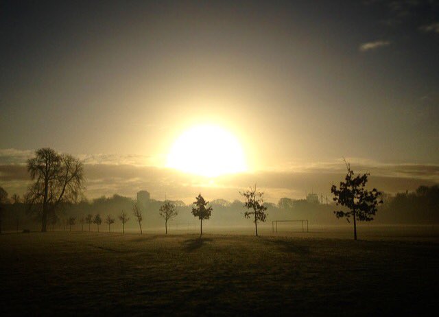 ontopoftheocean's tweet photo. Early morning mist and sun in @buteparkcardiff this morning! @DerekTheWeather @liamdutton https://t.co/1krtWaTkd8