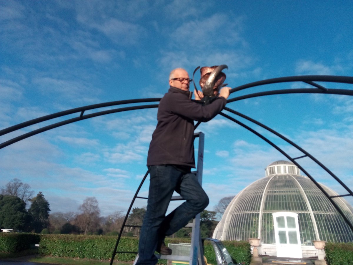 Tony (@_tonyhall_) on Twitter photo New bespoke rose bud finial fitted to arch, just some climbing roses & a couple of growing seasons to finish <a href="/kewgardens/">KewGardens</a> <a href="/AlanWilliamsart/">Alan Williams</a> New bespoke rose bud finial fitted to arch, just some climbing roses & a couple of growing seasons to finish <a href="/kewgardens/">KewGardens</a> <a href="/AlanWilliamsart/">Alan Williams</a>
