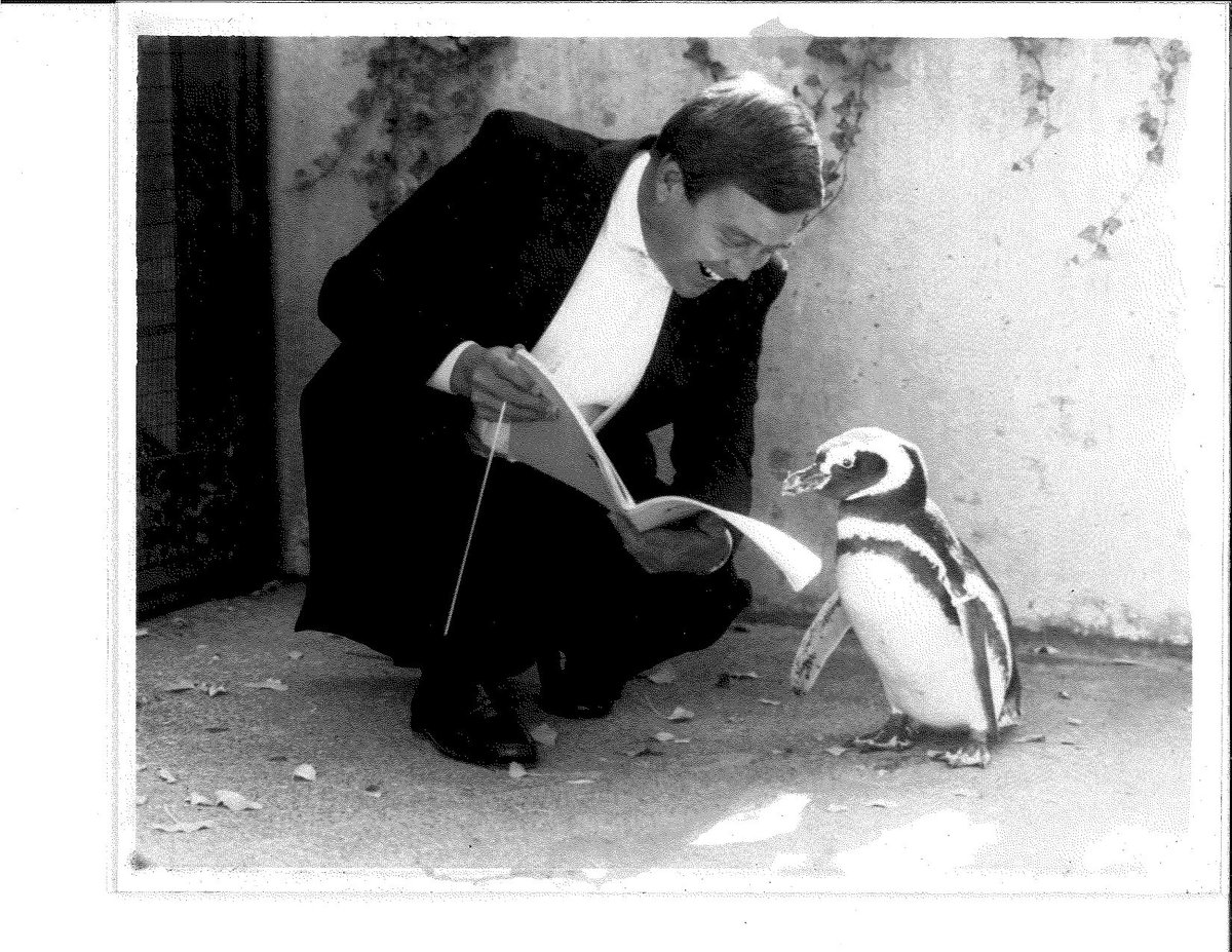 KSOMusic's tweet photo. Buddy the penguin and JR discuss Tchaikovsky 😂 #kso #ksomusic #cincinnatizoo #penguin #makeitNKY https://t.co/ec45065G2W
