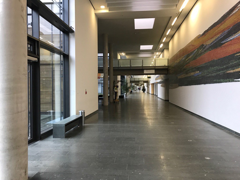 wolf_Sti's tweet photo. Bin hier #Wesling #Thrpmbozyten https://t.co/v2kZk92PPy