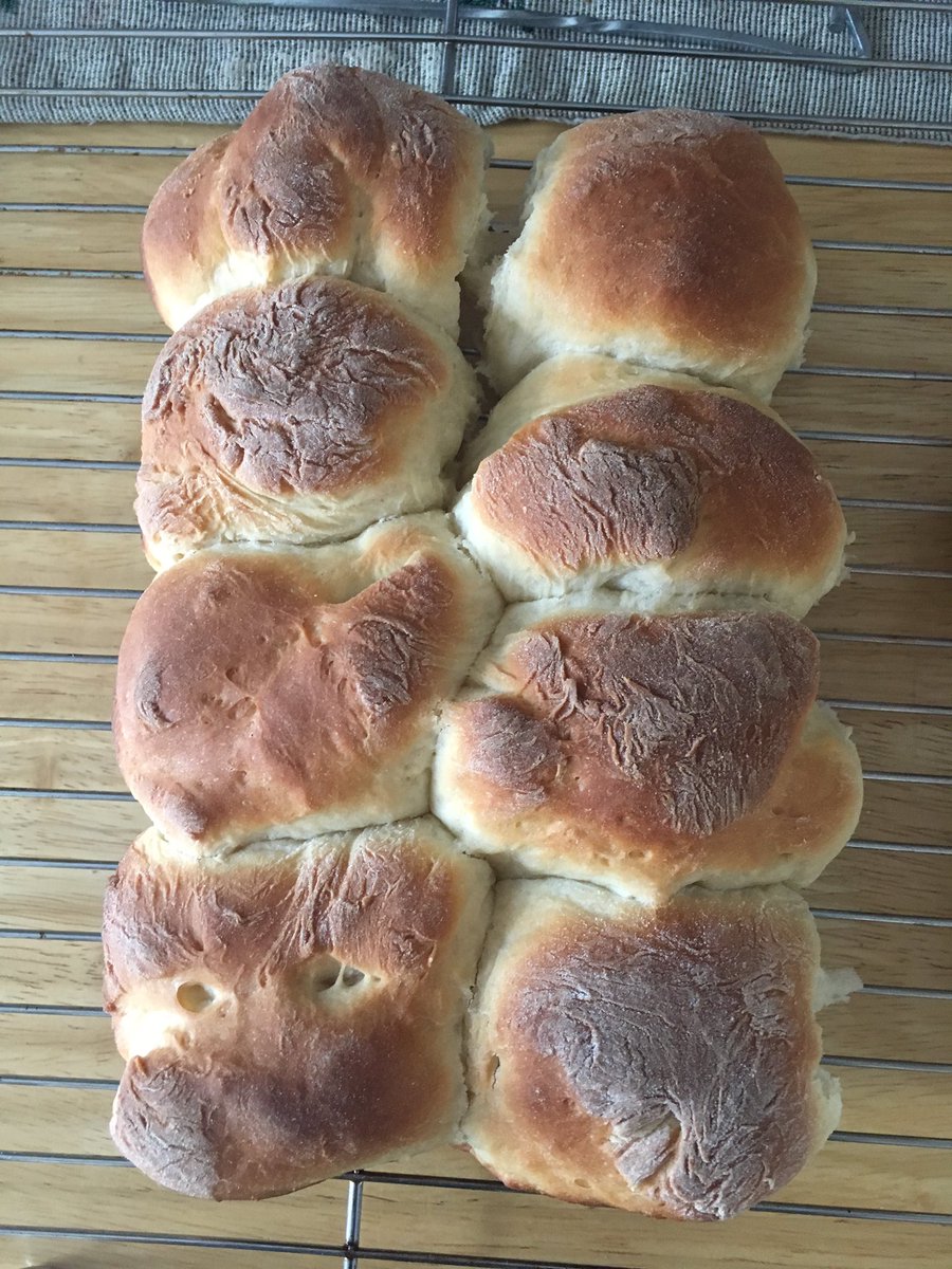 Tim939Tim's tweet photo. Just made my first ever batch of dinner rolls for Christmas at my in-laws!  Looking tasty! https://t.co/7pDSv0feMg