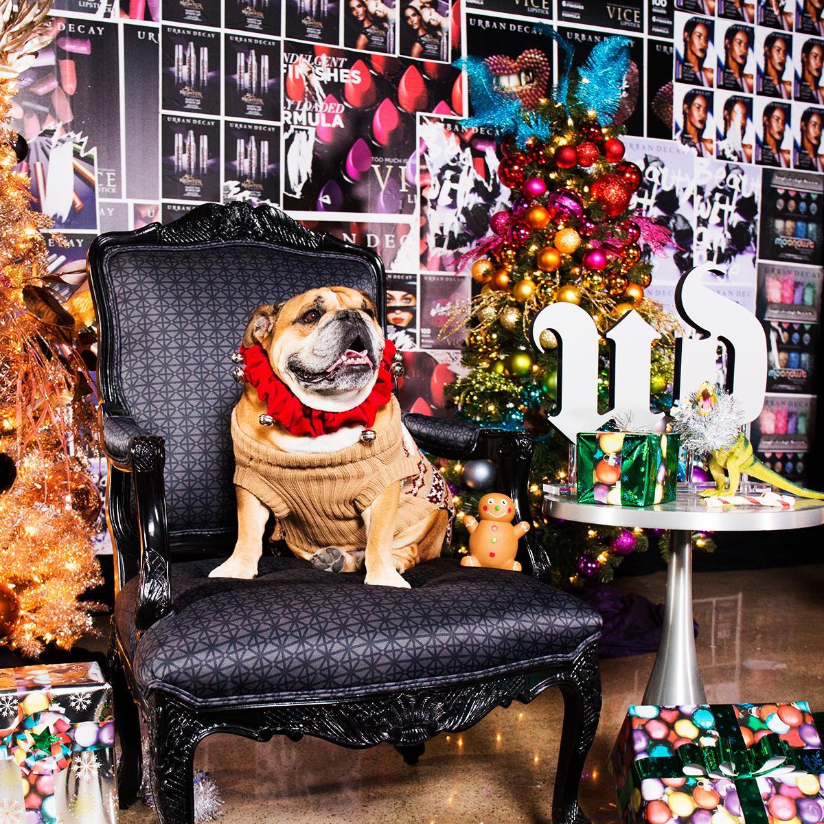 UrbanDecay's tweet photo. Jolly af. #UDHQ https://t.co/y4NsFfdJQX