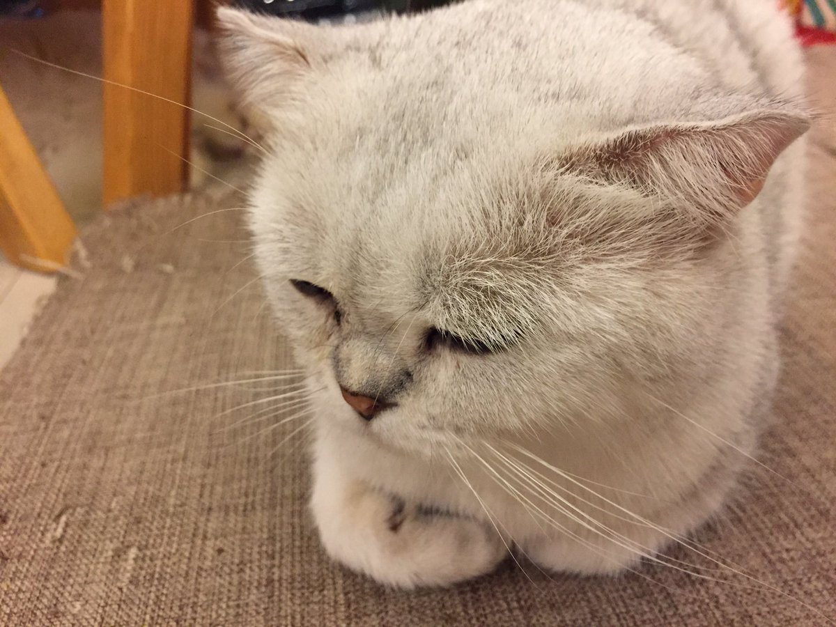 CYXF92's tweet photo. ดีกันนะ @CCYQ9 https://t.co/ZxtAERROwg