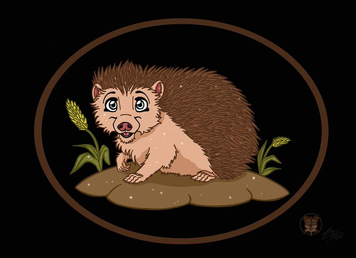 Hedgehog anyone!!!  😚

#art #illustrator #furry #sketches #hedgehog #babyhedgehogs #blackandwhite #tees #tshirtdesigns