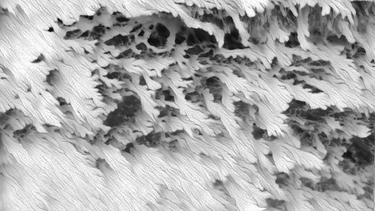 A few snapshots of the graphic art I co-created for my show at <a href="/WestivalAMS/">West'ival</a> Using <a href="/Allegorithmic/">Allegorithmic</a>'s #SubstanceDesigner #Vjin