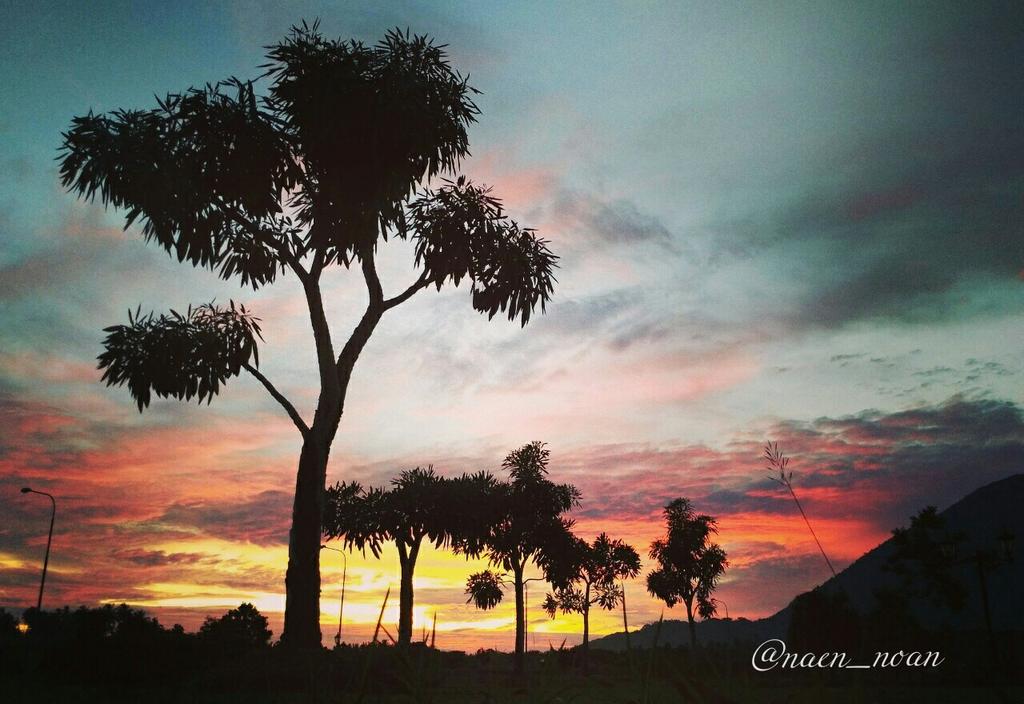 GNFI's tweet photo. #Sunsetku Taman Masjid Agung Natuna @GNFI https://t.co/nRKgAN5TP4 -via  @naennoan