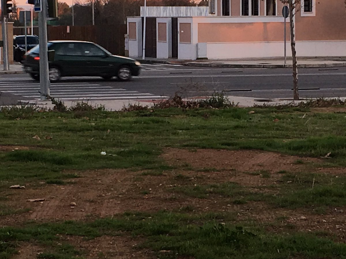 Bordillos rotos,rastrojos altos,heces, basura...así tiene el <a href="/AYTO_CIUDADREAL/">AYTO_CIUDAD REAL</a> su solar, futura zona verde a saber para cuando <a href="/CRenfurecida/">CiudadRealEnfurecida</a>