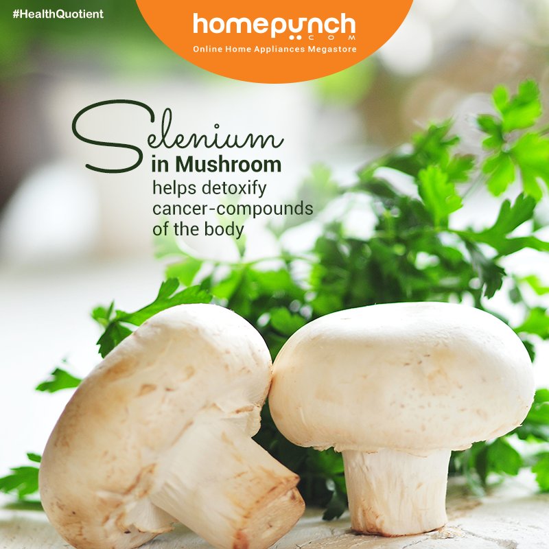 Homepunch's tweet photo. #HealthQuotient
Mushrooms are super #healthy and have Selenium in them which is rarely found in other #fruits and #vegetables. https://t.co/h3Qu7L4o2f