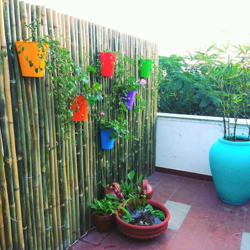MySunnyBalcony's tweet photo. A pretty terrace makeover designed online and set up in a day at the lovely client's home!
#MySunnyBalcony #urbangardening #bangaloregardens https://t.co/Xowu0nPH0S