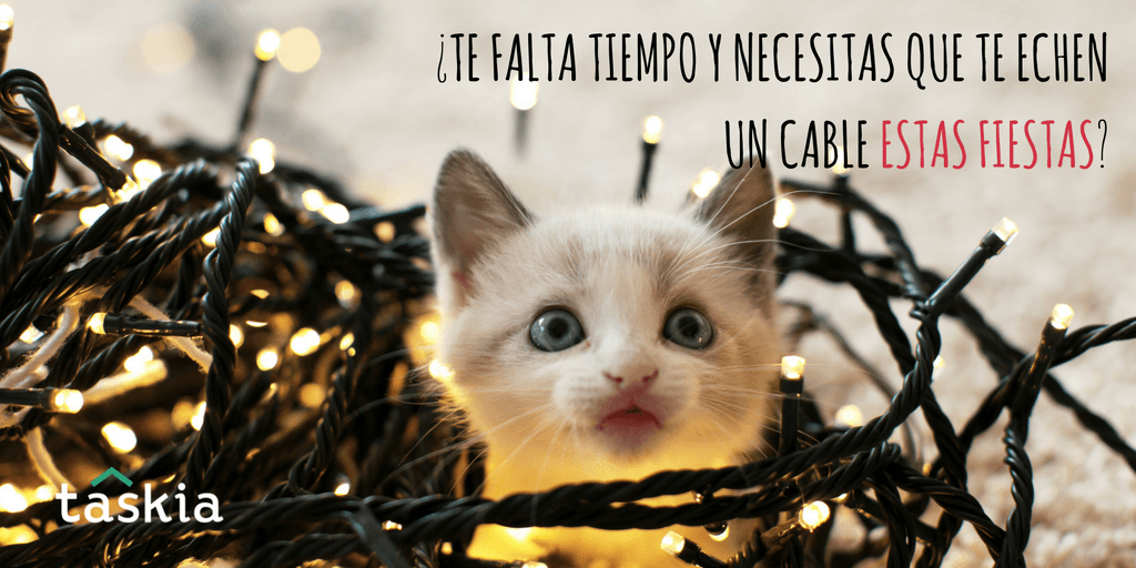 taskia's tweet photo. En Taskia encontrarás la ayuda que necesites! https://t.co/GsN1CUuWAZ #Madrid #SoyTasker #Navidad #ayuda #FelizNavidad https://t.co/8G0t0VBfFx