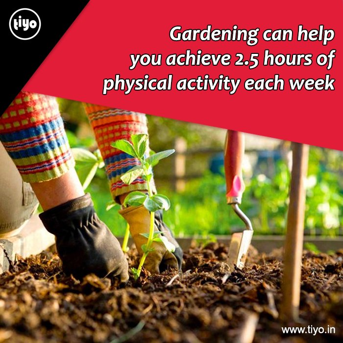 Tiyo HealthView tweet media