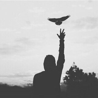 aqwrx's tweet photo. الذي لا يفهم حزنك ..
لا يستطيع إسعادك ..
لذلك لا تسرف وقتك في حياة شخص ..
لا يستطيع حتى أن يفهم أبسط احتياجاتك ! https://t.co/3t2n9quDI1