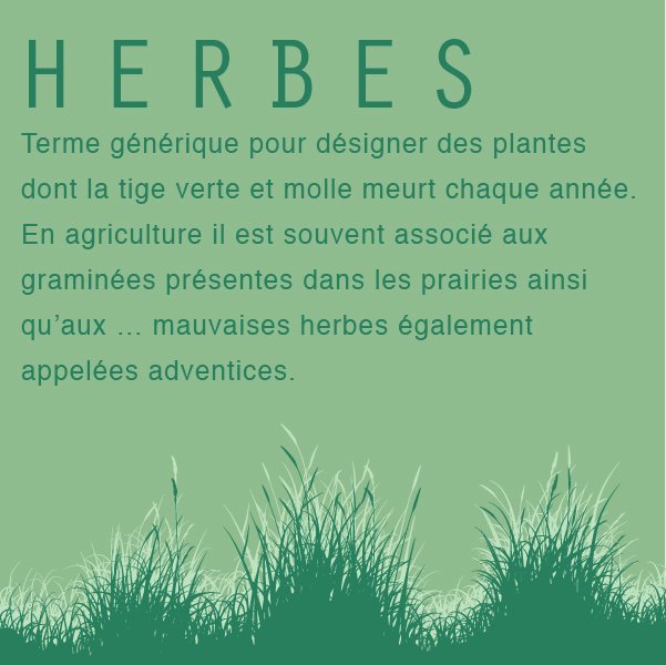 BlogResonnances's tweet photo. Nouvelle définition, aujourd’hui au programme : herbes. @BlogResonnances https://t.co/zrnu120H8U https://t.co/uPdkgty3RV
