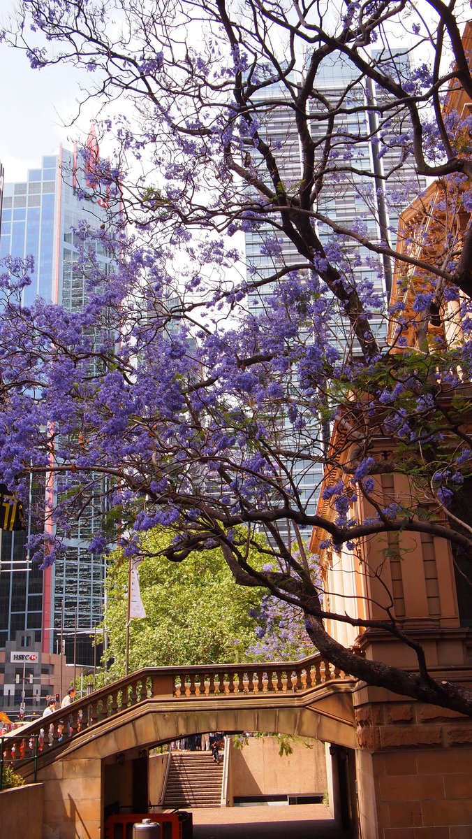 Derek (Del) Pickard tweet media