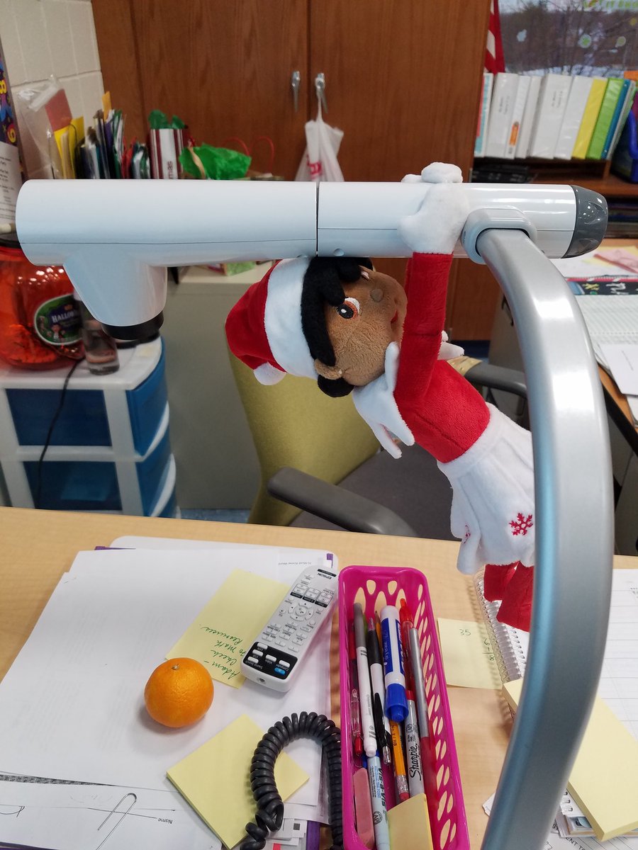 Norma Carbone tweet media