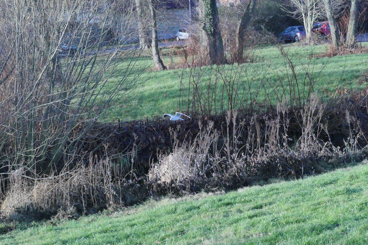 SyrianFilmMaker's tweet photo. Sunny day in Denmark, warm in late December !!!
anyway it is perfect for snapping birds photos :)
@HayaPictures https://t.co/LydRMGB6s1