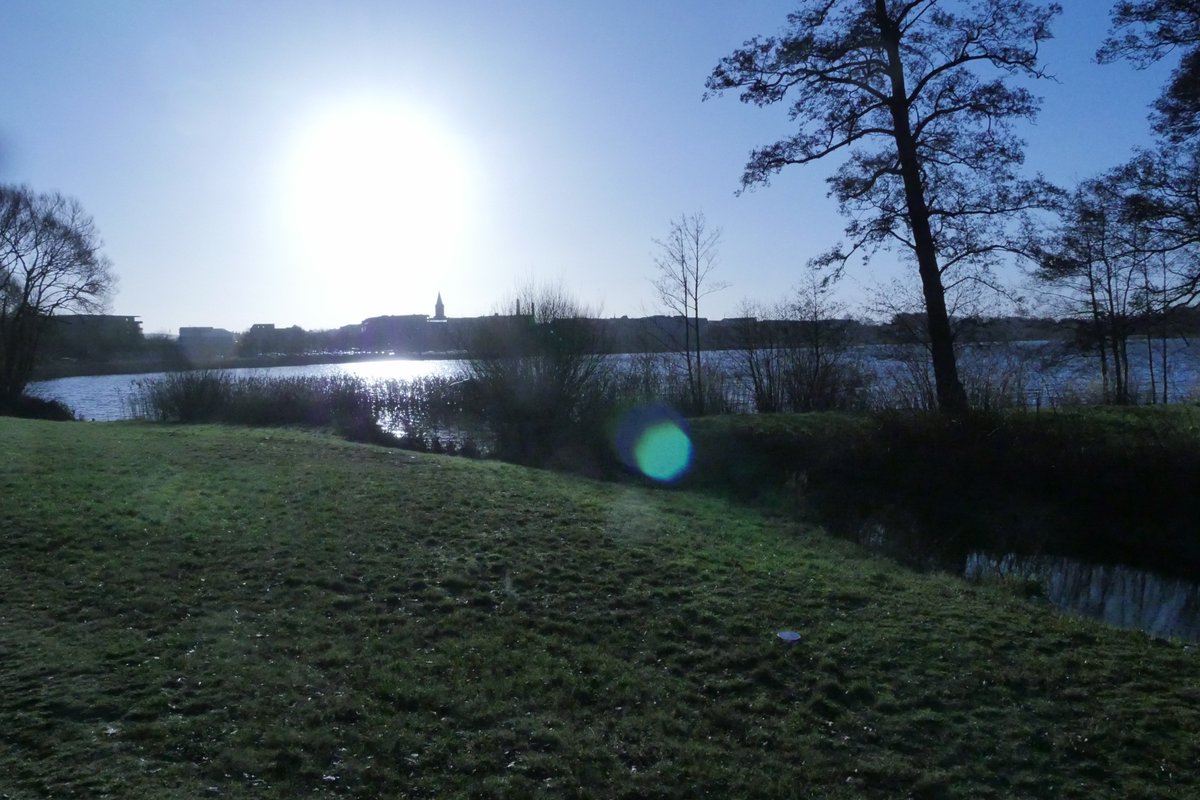 SyrianFilmMaker's tweet photo. Sunny day in Denmark, warm in late December !!!
anyway it is perfect for snapping birds photos :)
@HayaPictures https://t.co/LydRMGB6s1
