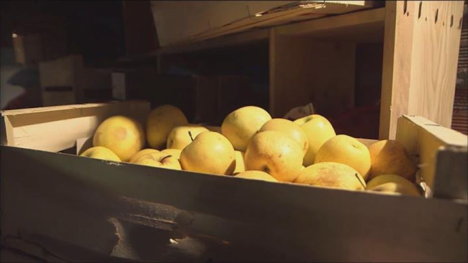 😋 🍎 💻 [BEST OF] 😋 🍎 💻
<a href="/jayandjoymarket/">Jay&Joy</a> <a href="/FreeganPony/">Freegan Pony</a> <a href="/farmbot/">Farm Bot</a> : la #cuisine du futur est ici ⬇️
sites.arte.tv/futuremag/fr/b…