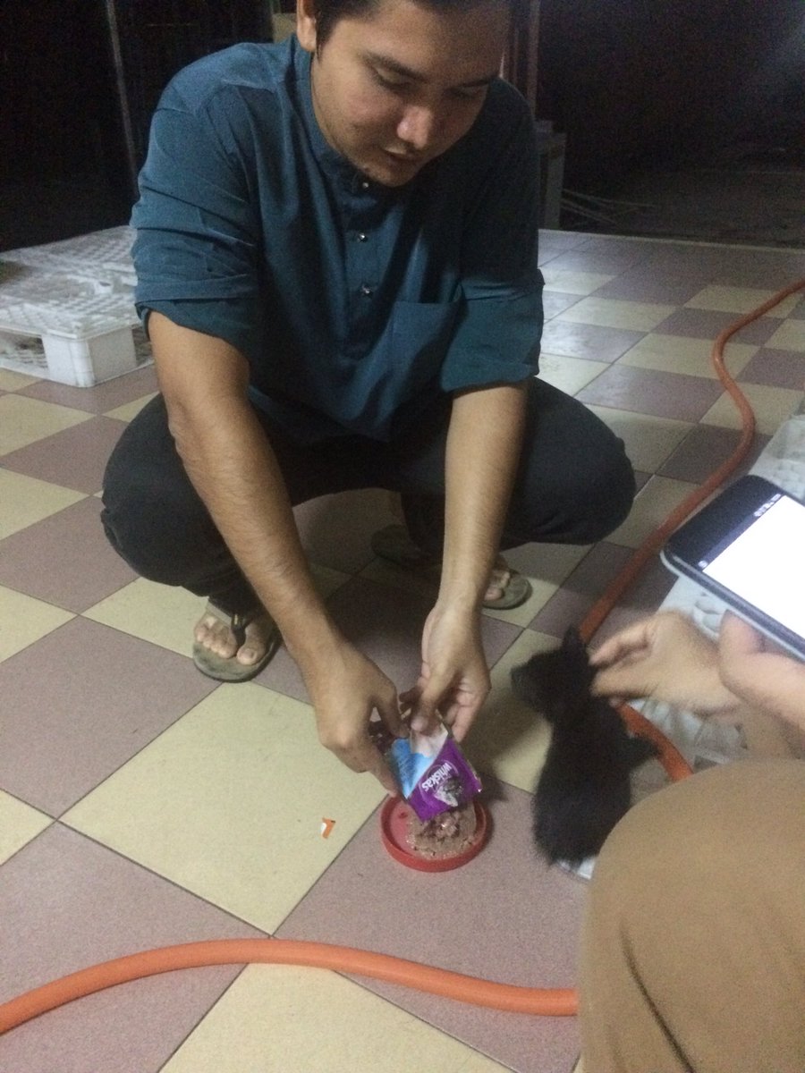 MUSlih_MdZin's tweet photo. #helpstraycat #suamipilihan https://t.co/gm9z4W5Nt1