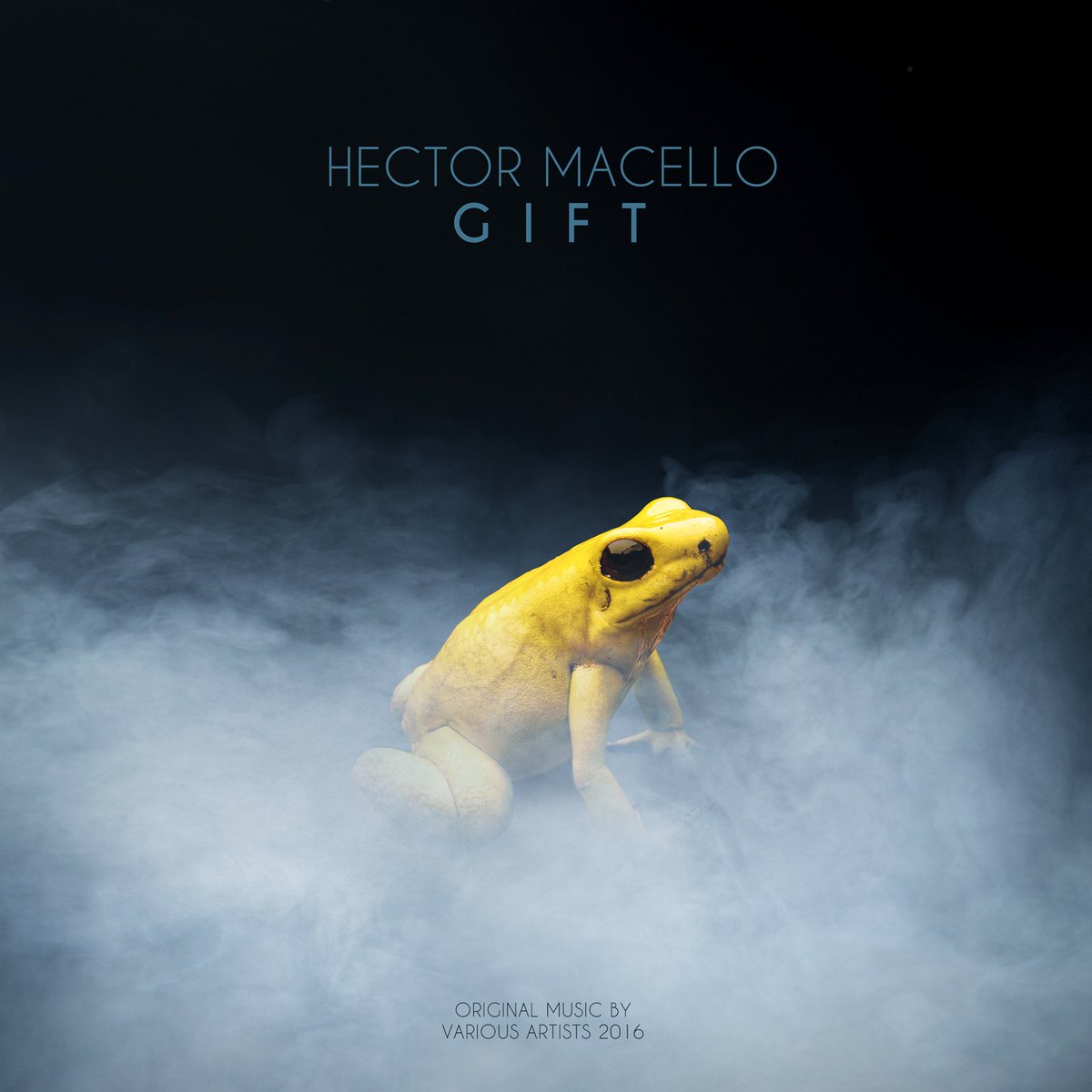 hectormacello's tweet photo. Hector Macello - GIFT - Dec 24th
FREE DOWNLOAD
https://t.co/cuguDnRvbj https://t.co/uf5kNGGHUR