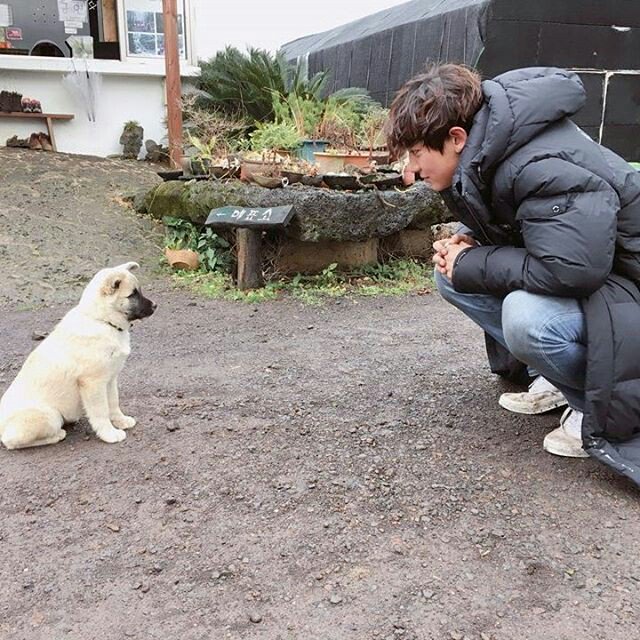 _real_pcy_'s tweet photo. 멍뭉아🐕 https://t.co/26Tgxm6Syb