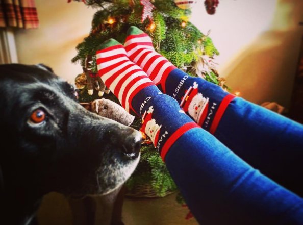 oasisevents's tweet photo. Great picture #GoldenPineapple
We're glad we knocked your socks off this year and #OASISLOVES that you like your new pair! #HAPPYCHRISTMAS https://t.co/4K2w4p99Tf