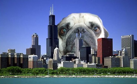 LolaPlusG tweet picture