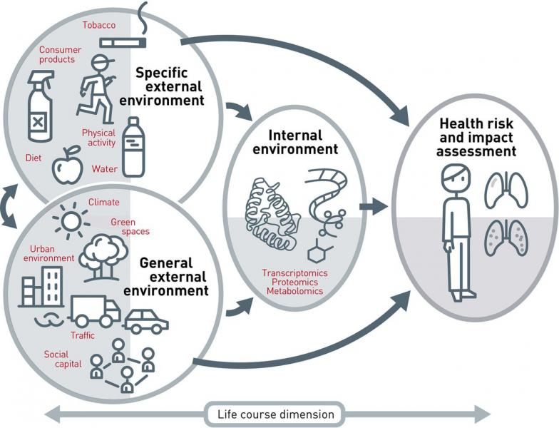 Genes or Environment? Our Exposome! ow.ly/UuX3307gE9G