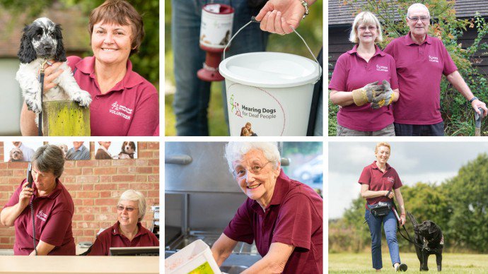 HearingDogs tweet picture
