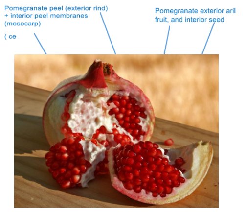 ThePaleoDiet.com we’ve had several important issues come up (like the question of nutrient density).
thepaleodiet.com/the-paleo-diet…
