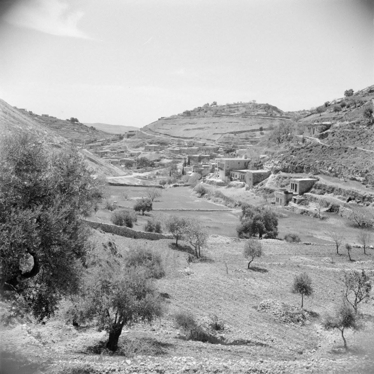 NashamaFM's tweet photo. جانب من مدينة السلط 1953 #الأرشيف #الأردن https://t.co/8nZV0IZEvp