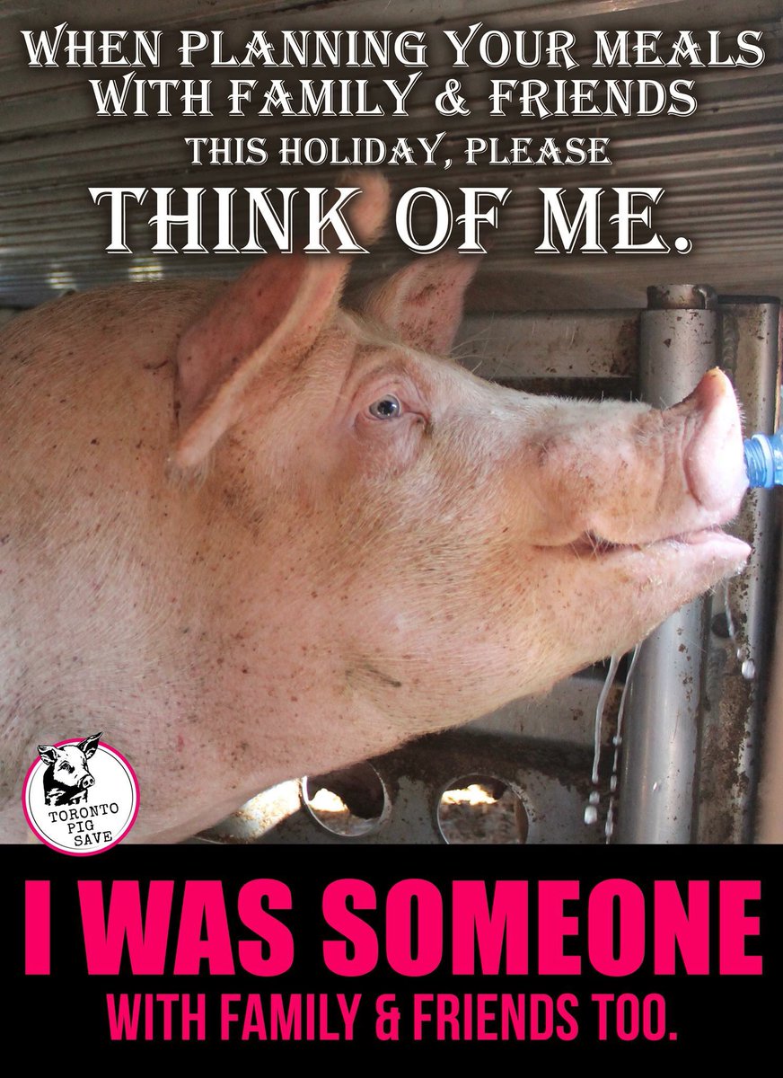 Let peace begin with you this holiday season ❤💚🐖💚❤

#PleaseGoVegan #PeacebeginsonYourPlate 
#FriendsNotFood