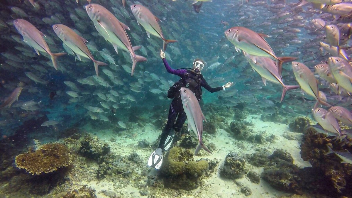 TabithaLipkin's tweet photo. What it feels like when it rains in San Diego... ☔️️🐟💦
@AquaLungDivers @CW6SanDiego
#IWokeUpLikeThis #DiverReady #RainyDay #😏 https://t.co/dnBhG2tLEp