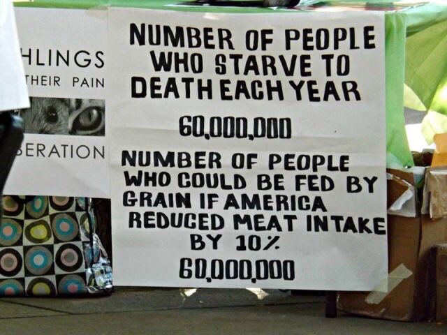 sanachkaa's tweet photo. Crazy, just 10% of a reduction in 🍖 #worldhunger #FoodChoices https://t.co/itBSMJqJfa