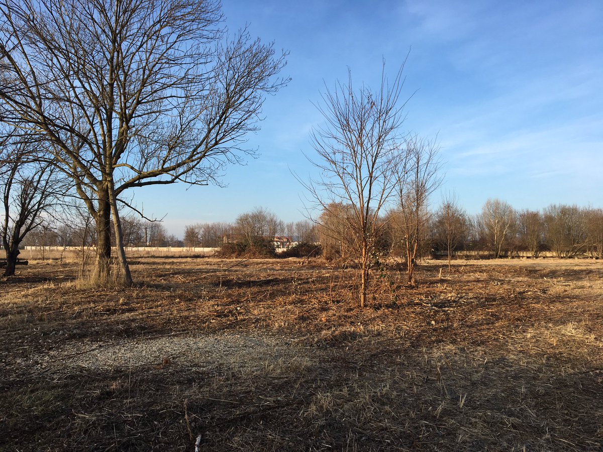 DynamoDresden's tweet image. „Wir bedanken uns beim Freistaat &amp;amp; der Stadt.“ Sportminister übergibt Fördermittel für #Trainingszentrum: bit.ly/2ijDYWE #sgd1953